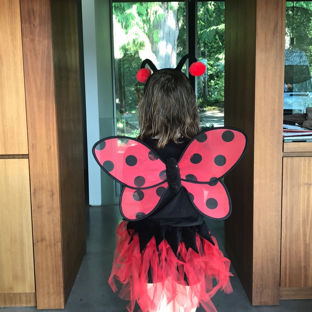 Ladybug Costume-Headband not included
